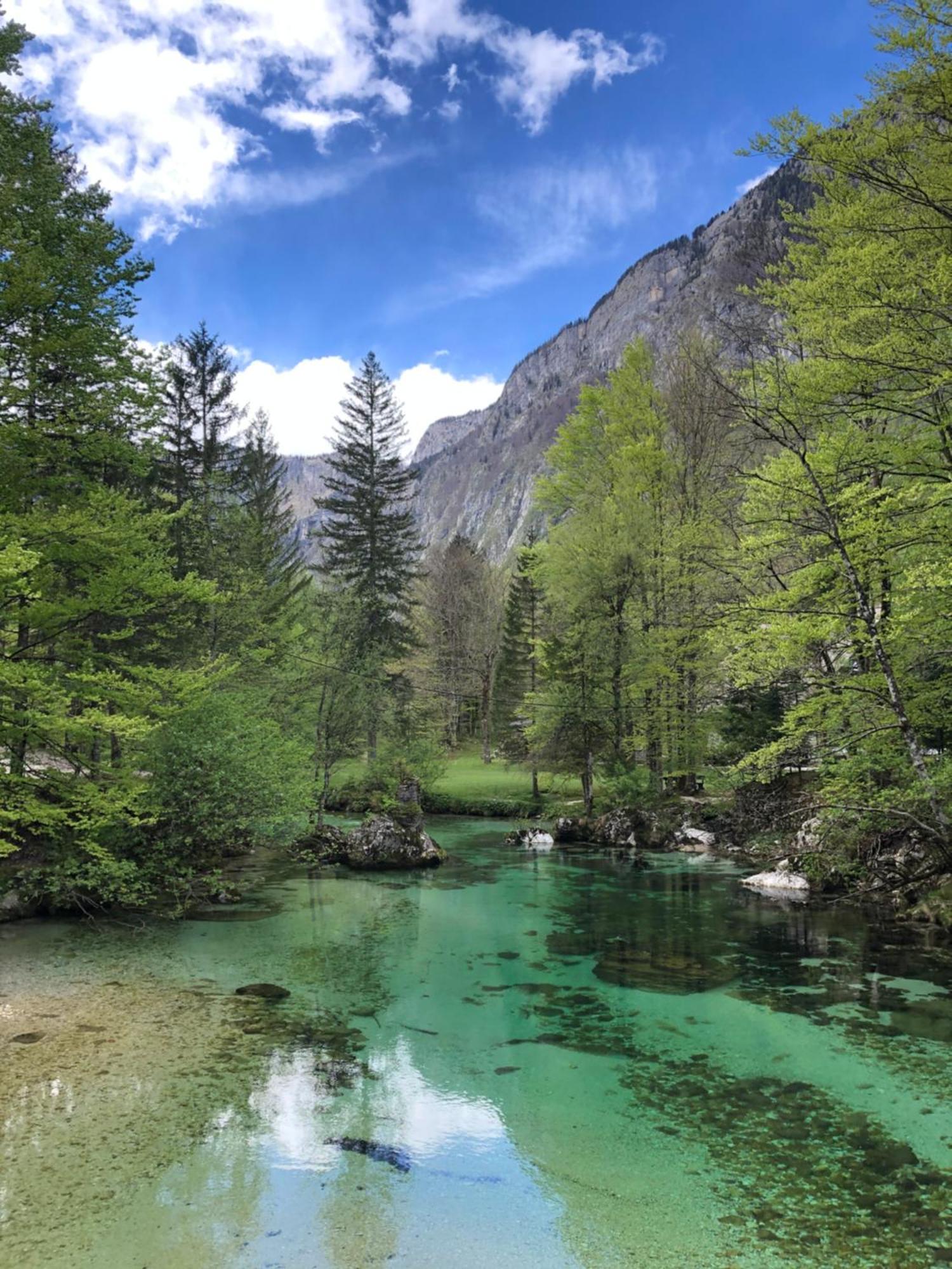 Vila Nina Bohinj Esterno foto
